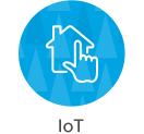 IoT